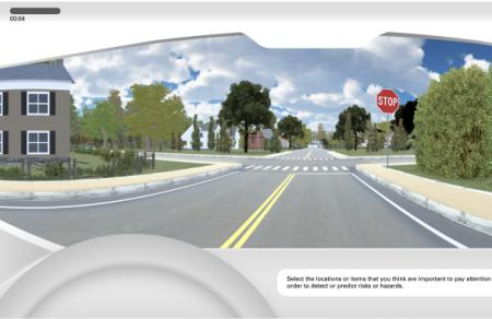 Driving simulation screenshot