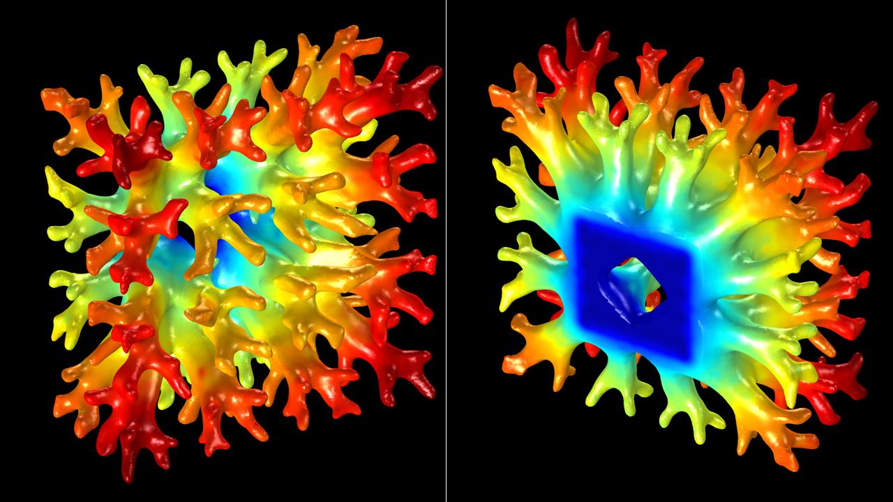 TRINA biologically inspired generative design.